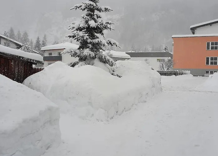 Maro * Λάνγκενφελντ